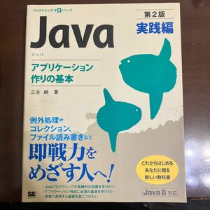 Ｊａｖａ　実践編 （プログラミング学習シリーズ） （第２版） 三谷純