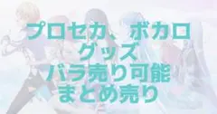 プロジェクトセカイ プロセカ ボーカロイド  ボカロ バラ売り可能 まとめ売り