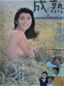映画ポスター「成熟」関根恵子（現・高橋惠子）主演／1971年大映映画