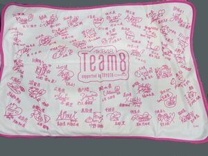 非売品　AKB48　Team8 TOYOTAノベルティ　オリジナルブランケット　