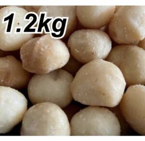 【大粒】マカダミアナッツ　1.2kg 素焼き　無塩　無添加　ナッツ　非常食
