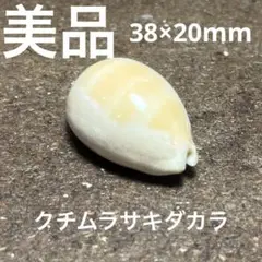 美品　クチムラサキダカラ