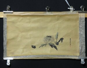 ◆◇メクリ 狩野晴川院 栗 尺八横 hanging scroll◇◆初秋 晩秋 普段掛け JY682