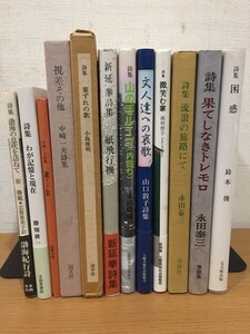 詩集 まとめて12冊セット 崔勝範/勝畑耕一/中崎一夫/小島俊明/新延拳/太田康成/山口敦子/西村啓子/永田泰三/鈴木俊