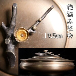 。◆錵◆ 古美術品 砂張 金銀摘蓋物 19.5cm 452g 唐物骨董 [S318]PV/23.9廻/TB/(80)