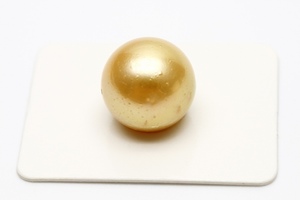 南洋白蝶真珠パールルース　両穴　14mm　ナチュラルゴールドカラー