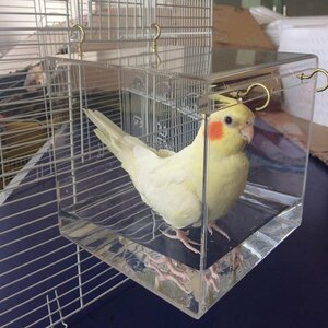 LYW968★ほとんどの鳥かごペットオウムセキセイインコオカメインコケージ水シャワーの吊りフック付き鳥浴槽ケージ鳥風呂ハウス