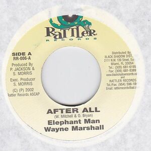 EPレコード　WAYNE MARSHALL & ELEPHANT MAN / AFTER ALL (X5)
