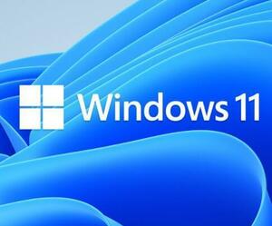 【認証保証】windows 11 pro プロダクトキー 正規 32/64bit サポート付き 新規インストール/HOMEからアップグレード可能