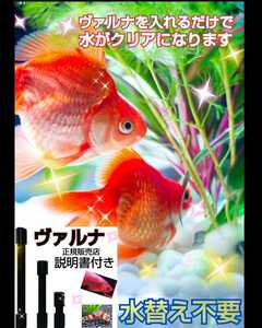 楽チン！水替え不要に！金魚の飼育者絶賛！【ヴァルナ15センチ】有害物質を強力抑制！透明度アップします☆病原菌や感染症予防にも抜群！