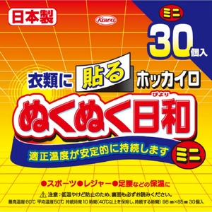 ホッカイロ ぬくぬく日和 貼るミニ30個 × 16点