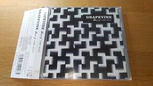 2CD GRAPEVINE　グレイプバイン　/　Best of ベスト　オブ　レンタル落ち
