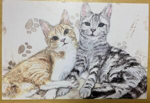 オリジナル 手描きイラスト ポストカード 猫 複製 トラ猫 アメショー アメリカンショートヘア 猫イラスト 水彩 【あおきしずか】