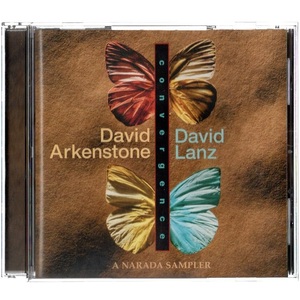 音楽CD David Arkenstone / David Lanz(デヴィッド・アーカンストーン/デヴィッド・ランツ)「Convergence」Narada ND-64012輸入盤 冒頭確認