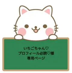 いちごちゃん♡プロフィール必読♡様 専用ページ