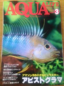 「月刊アクアライフ 2009年3月号　No.356」 アピストグラマ/飼育/繁殖/レッドビーシュリンプ/ビッグキャット/ブラインシュリンプ