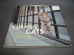 洋書『CURIOUS　CATS』　岩合光昭
