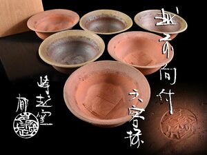 【雲】某収集家放出品 越前 窯変向付 6客 在銘 共箱 古美術品(備前信楽六古窯料理懐石道具)AA9705 LTdew