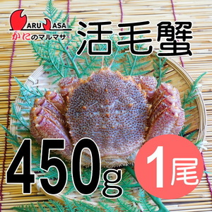 【かにのマルマサ】活蟹専門店 北海道産 活毛ガニ450g 1尾セット