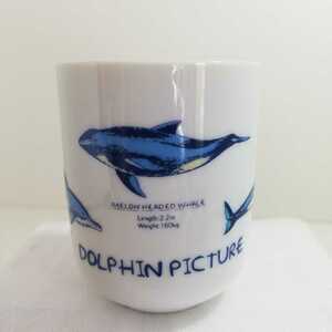 DOLPHIN PICTURE ドルフィンピクチャー イルカ図鑑 湯呑 高さ7.5cm 未使用品 [アニマル 茶器 煎茶器 海洋生物 湯飲み 湯のみ]