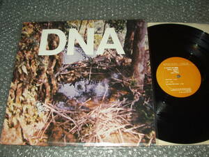 ＬＰ★DNA「TASTE OF DNA」US盤(AMCL 1003EP)～NO NEW YORK/ポストパンク/SUICIDE/TELEVISION/アート・リンゼイ/モリイクエ