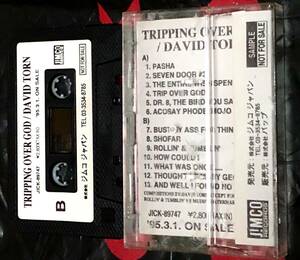 ◎送料込み！David Torn / Tripping Over God◎ Muddy Waters Rollin