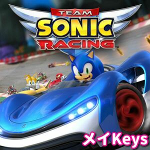 ★STEAM★ Team Sonic Racing チームソニックレーシング PCゲーム メイ