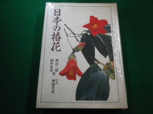 ■日本の椿花　横山三郎　桐野秋豊　淡交社■FAIM2023031609■