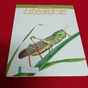 f-344 とのさまばった　フレーベルの科学えほん　フレーベル舘※1