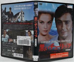 DVD 黒いチューリップ HDマスター版(日本語字幕版)アラン・ドロン/レンタル落ち