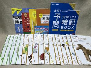 進研ゼミ中学講座 中1　2020年度の教材いろいろ　社会定期テスト予想問題・暗記BOOK・国語文法・理科中1範囲