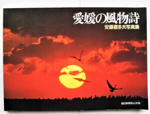 ☆1988年発行・写真集『愛媛の風物詩』★安藤喜多夫★松山市の成人式/内子の稚児行列/松山春まつり 鳥越マリ/新居浜太鼓祭り/西条まつり/