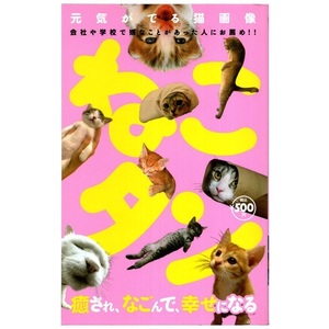 本 書籍 「癒され、なごんで、幸せになる「ねこタン」」 大洋図書 ネコ写真集 猫写真集 元気がでる猫画像