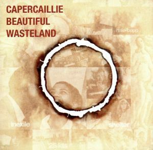 【輸入盤】Ｂｅａｕｔｉｆｕｌ　Ｗａｓｔｅｌａｎｄ／カパーケリー