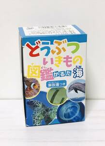 棚-02　かるた　カードゲーム　知育玩具　どうぶつ　いきもの　海　カルタ