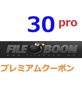 FileBoom　PRO　プレミアム公式プレミアムクーポン 30日間　入金確認後1分～24時間以内発送