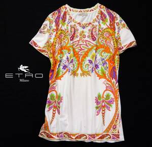 ETRO Milano エトロ 素敵 手洗い可能 ストレッチ スカーフ風柄 総柄 プルオーバー カットソー 42