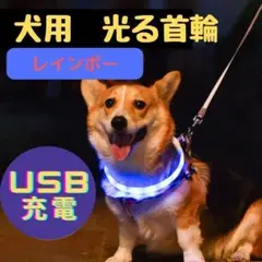 光る首輪 LED USB充電 犬 ドッグ 夜 散歩 レインボー