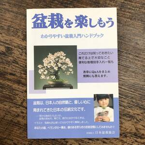 K-2501■盆栽を楽しもう わかりやすい盆栽入門ハンドブック■加藤三郎/著■日本盆栽協会■1997年9月 初版