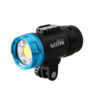 Fisheye フィッシュアイ WF Smart Focus 7000 水中ライト LIGHT #30575