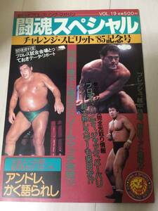アントニオ猪木vs藤波　東京体育館　新日本プロレス　パンフレット