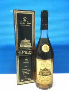 aet3000【送料無料・未開栓】NAPOLEON ナポレオン Extra Fine エクストラファイン ブランデー 700ml 40% 箱付き 古酒