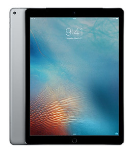 iPadPro 10.5インチ 第1世代[64GB] セルラー au スペースグレ …