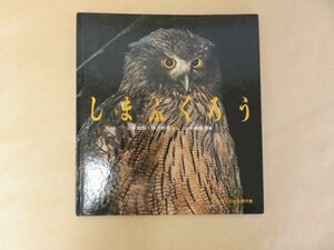 どきどきしぜん　しまふくろう　かがくのとも傑作集　山本純郎・神沢利子　福音館書店　1993年第4刷