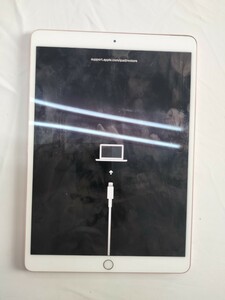 Apple iPad PRO Wi-Fi ゴールド 256GB