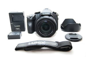 ★極上美品　Panasonic　パナソニック　ミックス FZ1000　 2010万画素★