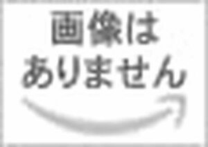 日野大型エアループプロフィア(H22.9～H29.4) 17プロフィア(H29.5~)大型車用 サイド ミラーカバー 5点セット