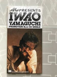 IWAO YAMAGUCHI PROMOTION 8mm CD