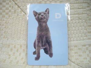 未使用　　DARTSLIVE ダーツライブカード　　　猫