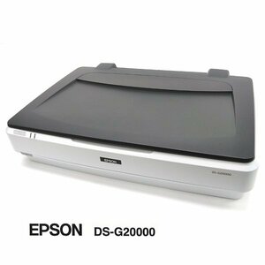 ☆EPSON/エプソン USB/A3/フラットベット ドキュメントカラースキャナ DS-G20000 【美品】